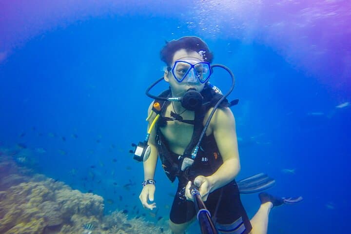 Dubai Scuba Diving Adventure: Introductory Dive in the Arabian Gulf photo 4