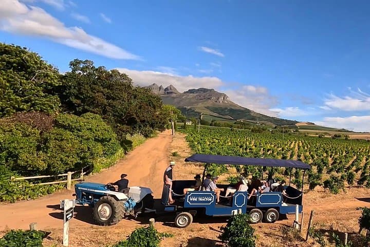 Ride-the-stellenbosch-wine-tractor-hop-on-hop-off-tasting-tour photo 1