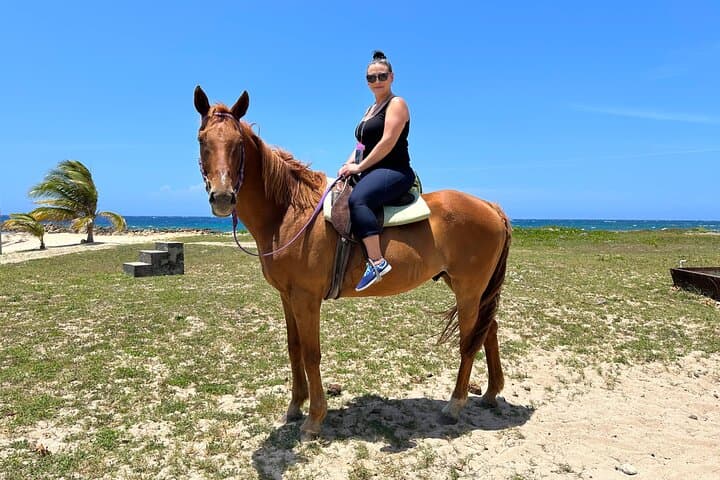 Montego Bay Horseback Ride and Swim: Private Beach Equestrian Adventure photo 4