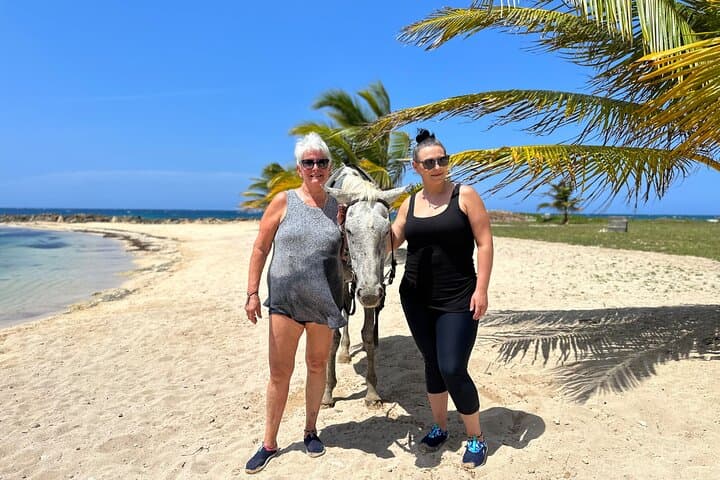 Montego Bay Horseback Ride and Swim: Private Beach Equestrian Adventure photo 5
