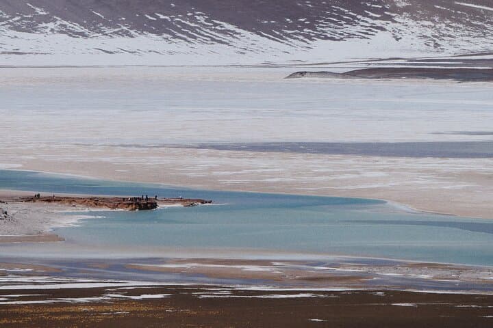 High-Altitude Day Tour to Piedras Rojas, Chaxa and Miscanti Lagoons photo 2
