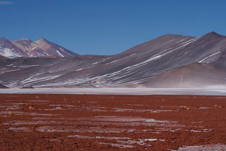 High-Altitude Day Tour to Piedras Rojas, Chaxa and Miscanti Lagoons photo 4