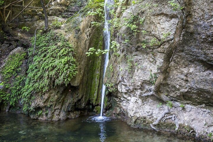 Butterfly Valley to Chalki: Full-Day Rhodes Boat & Nature Tour photo 6