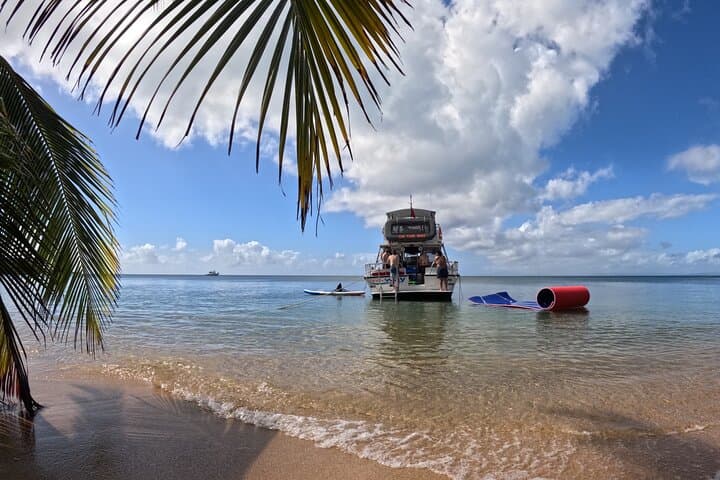 Vieques All-Inclusive Snorkel Tour — Swim with Turtles & Pristine Beaches
