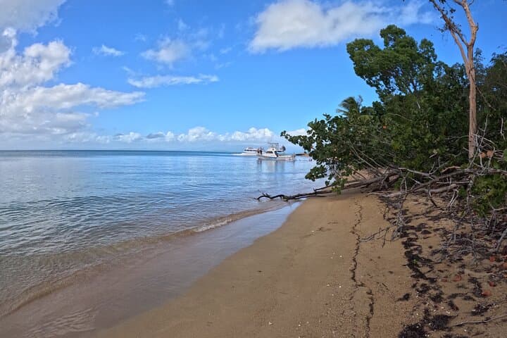 Vieques All-Inclusive Snorkel Tour — Swim with Turtles & Pristine Beaches photo 2