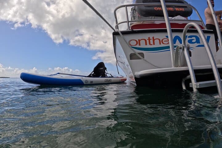 Vieques All-Inclusive Snorkel Tour — Swim with Turtles & Pristine Beaches photo 3
