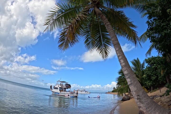 Vieques All-Inclusive Snorkel Tour — Swim with Turtles & Pristine Beaches photo 4
