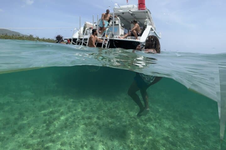 Vieques All-Inclusive Snorkel Tour — Swim with Turtles & Pristine Beaches photo 5