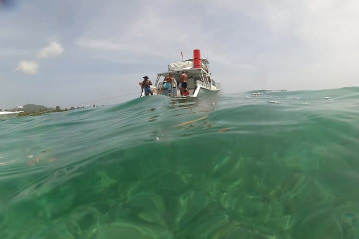 Vieques All-Inclusive Snorkel Tour — Swim with Turtles & Pristine Beaches photo 6