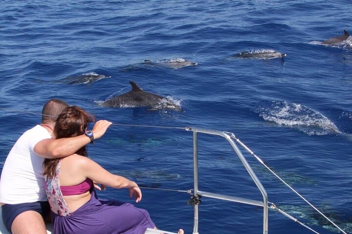 Madeira Land & Sea Adventure: Cabo Girão Skywalk, Jeep Routes and Dolphin Watching from Funchal photo 1