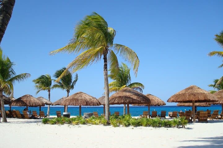 Cozumel Buggy to Chankanaab: Rugged Island Drive, Snorkel & Tequila Tasting photo 3