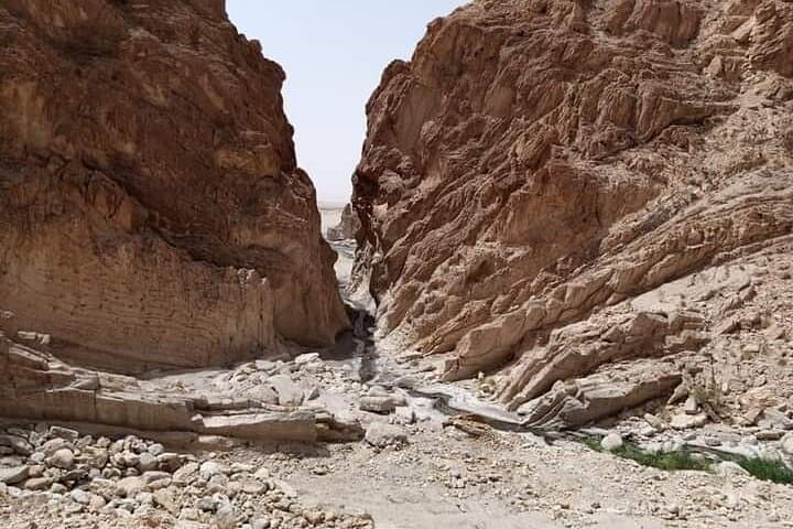 Private 2-Day Tozeur Excursion from Djerba — Oases, Chott El Jerid & Star Wars Sites photo 2