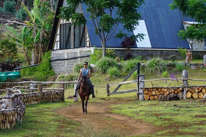 Sunrise Horseback to Terevaka: Private Riding on Easter Island photo 4