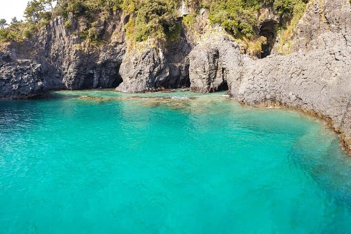 Jeju Luxury Private Tour with UNESCO Yacht Cruise & Fishing Experience photo 5