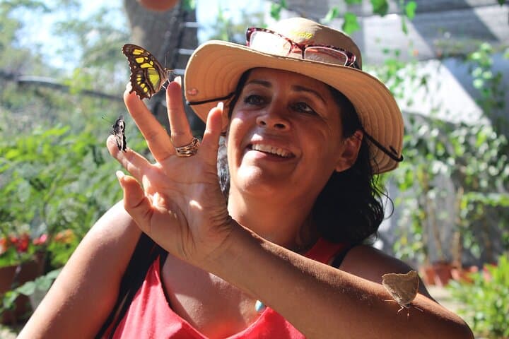 Puerto Vallarta Butterflies & Mismaloya Beach Tour with Tequila Tasting photo 3