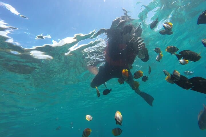 Blue Lagoon & Tanjung Jepun Snorkeling Trip with Lunch — Bali's East Coast Reef Experience photo 3