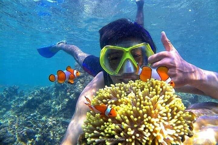Blue Lagoon & Tanjung Jepun Snorkeling Trip with Lunch — Bali's East Coast Reef Experience