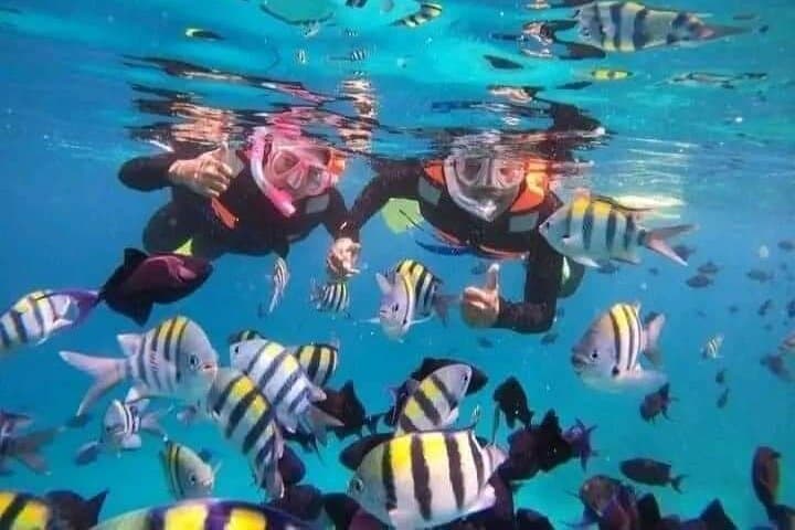 Blue Lagoon & Tanjung Jepun Snorkeling Trip with Lunch — Bali's East Coast Reef Experience photo 2
