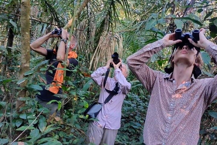 Amazon Adventure: 4-Day Jungle Explorer from Iquitos photo 5