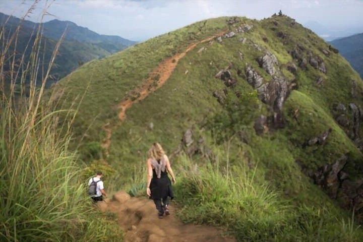 Ella Day Tour from Mirissa: Ravana Falls, Nine Arch Bridge & Tea Plantation photo 4