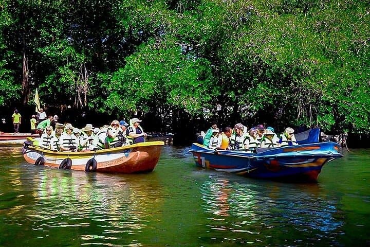 Galle & South Coast Day Tour: Madu River, Turtle Hatchery & Beaches photo 6