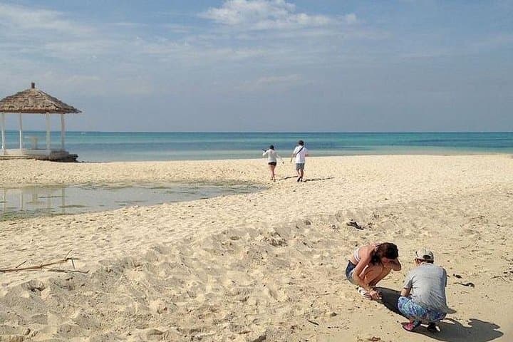 Pandanon Private Island Tour: Snorkel Coral Gardens, Sandbars & Beach BBQ from Mactan photo 3
