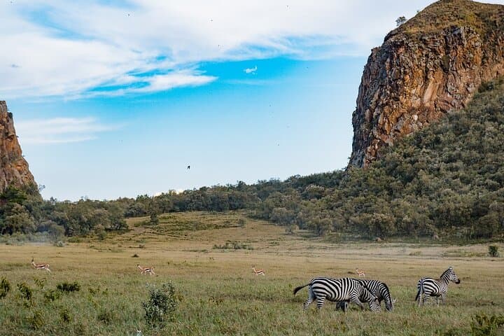 Hell's Gate to Lake Nakuru: Overnight Rift Valley Adventure with Biking, Boat Ride and Game Drive
