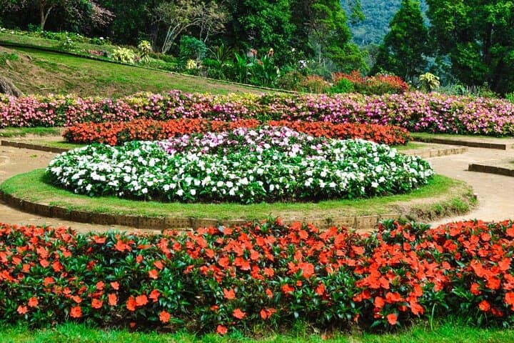 Day Trip to Nuwara Eliya from Mirissa: Tea Country, Hakgala Gardens & Gregory Lake photo 3