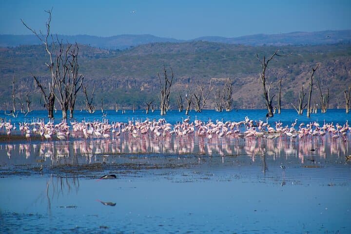 Hell's Gate to Lake Nakuru: Overnight Rift Valley Adventure with Biking, Boat Ride and Game Drive photo 5
