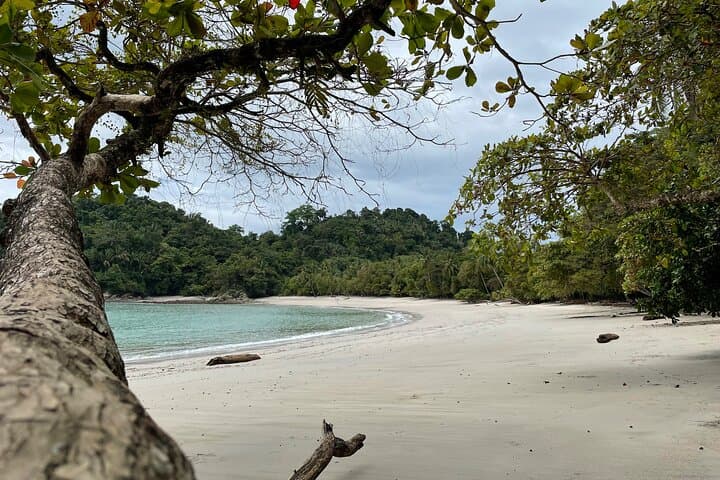 Manuel Antonio National Park Guided Wildlife Walk — Small-Group Tours photo 4