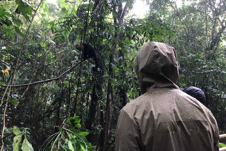Manuel Antonio National Park Guided Wildlife Walk — Small-Group Tours photo 3
