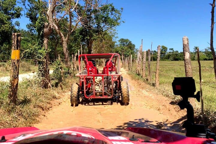 Exploring Dominican Countryside: Buggy Excursions to Macao Beach and Cenote photo 5