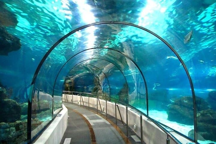 Inside Hurghada Grand Aquarium: Walk the Red Sea in Glass photo 2