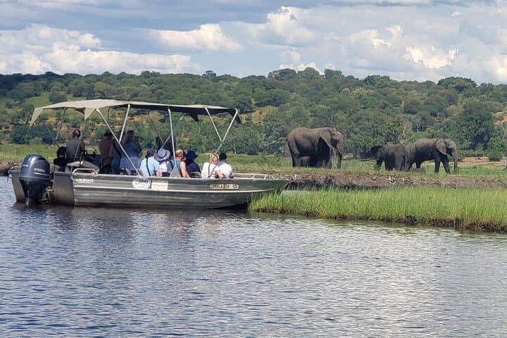 Full-Day Chobe Safari: Game Drive and Chobe River Cruise from Livingstone or Victoria Falls