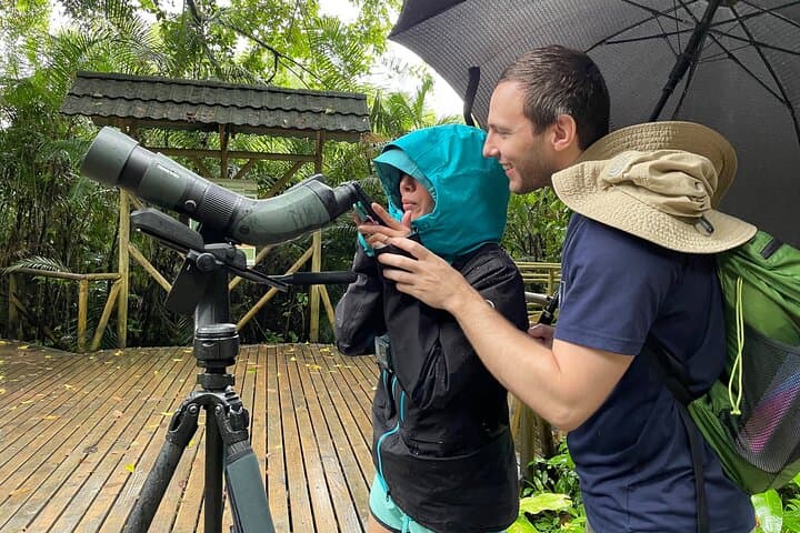 Manuel Antonio National Park Guided Wildlife Walk — Small-Group Tours