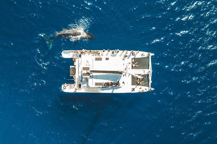 West Maui Snorkel & Sail on a Paragon Catamaran — Lahaina Snorkel Tour photo 1