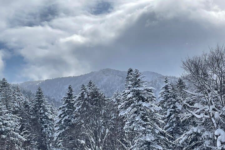 Snowshoeing and Onsen in Sapporo: Guided Winter Trek with Outdoor Lunch photo 4