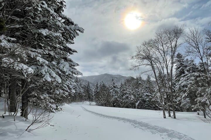 Snowshoeing and Onsen in Sapporo: Guided Winter Trek with Outdoor Lunch photo 5