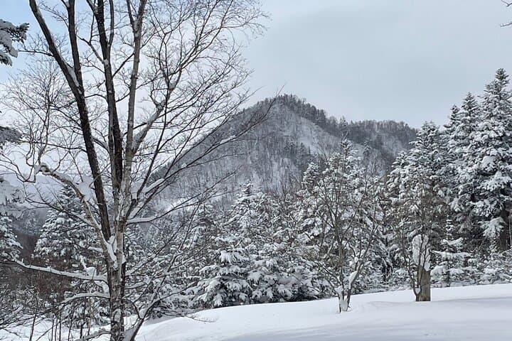 Snowshoeing and Onsen in Sapporo: Guided Winter Trek with Outdoor Lunch photo 6