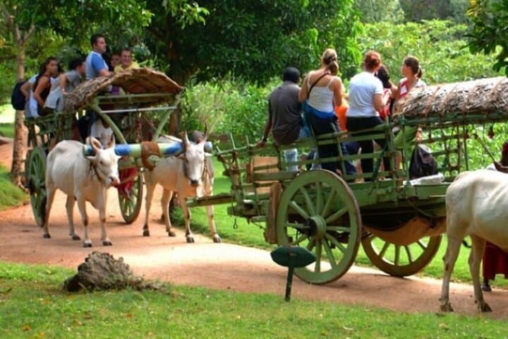 Climb Sigiriya and Explore Hiriwadunna: Day Trip from Pasikuda & Kalkuda photo 4