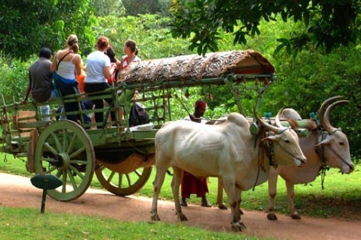 Sigiriya Lion Rock and Hiriwadunna Village Safari — Day Trip from Trincomalee photo 5