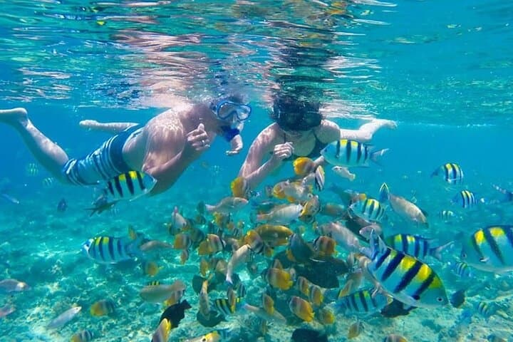 Bali Blue Lagoon Snorkel and Ubud ATV Quad Bike Adventure photo 2