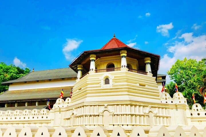 Luxury Kandy Day Tour: Pinnawala Elephants, Spice Gardens & Temple of the Tooth photo 4
