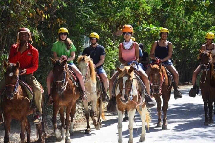 Unleash the Equestrian Spirit in Punta Cana: A Beachfront Horseback Adventure photo 4