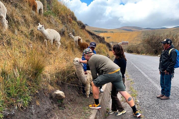 Cycling Chimborazo: High-Altitude Bike Descent from 4,800m photo 6