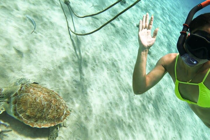 Swim with Turtles and Explore Curacao's Blue Room Cave — Turtle Bay Snorkel Trip photo 3