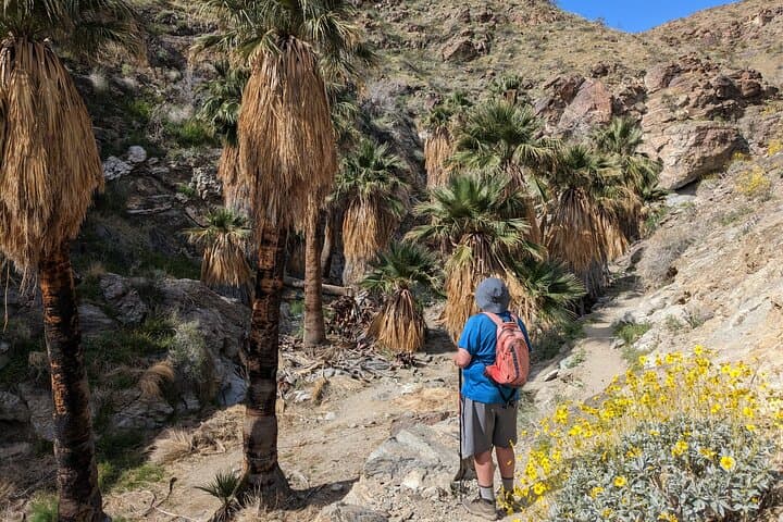 Palm Springs Secret Oasis Hike: Coachella Valley Views & Cahuilla Trails