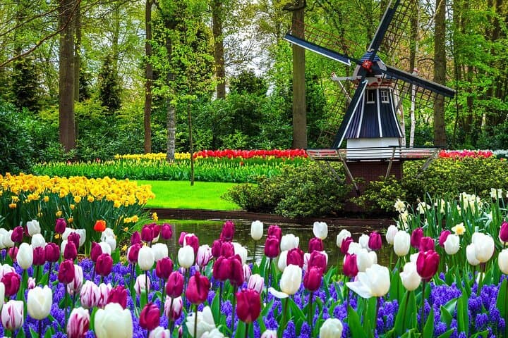 Keukenhof Spring Garden Day Trip from Rotterdam, Delft & The Hague photo 1