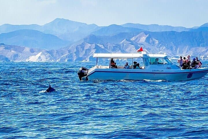 2-Hour Dolphin Watching Experience in Muscat - Boat Tour & Wildlife Viewing