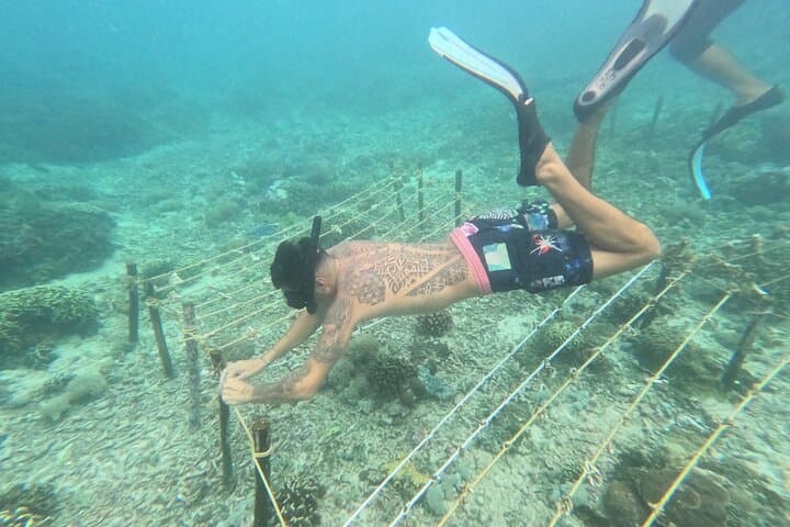 Nusa Penida Reef Rehabilitation Course & Snorkeling — Coral Planting Experience photo 3